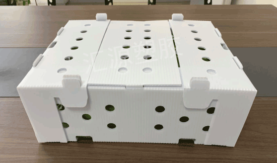 中空板周轉(zhuǎn)箱