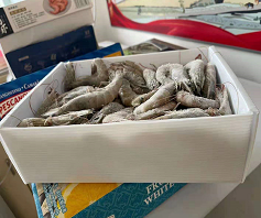 可循環(huán)快遞中空板箱質(zhì)量好不好？-匯源塑膠m.guangde8.com